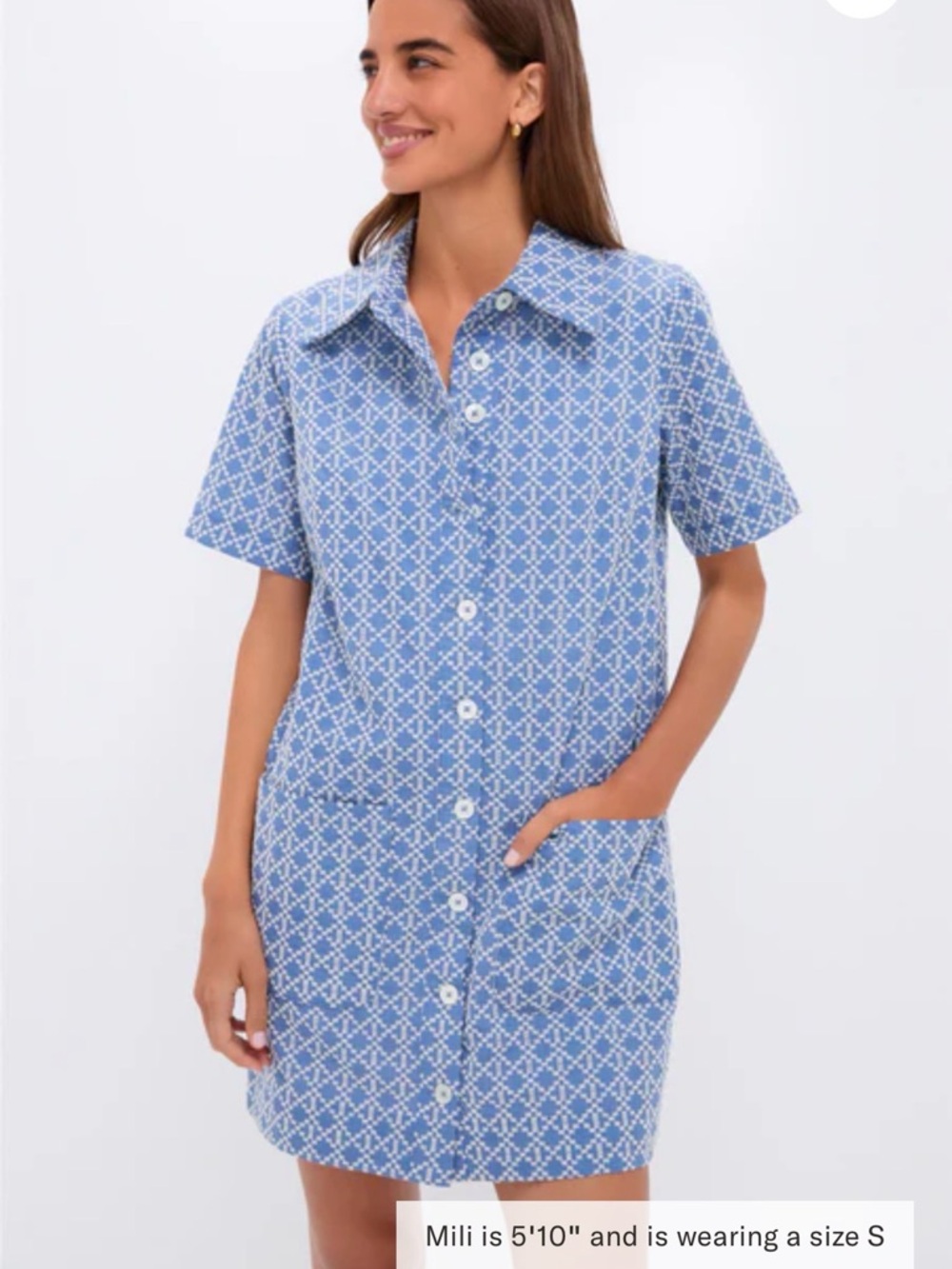 Pomander Place Blue and White Asymmetrical Shirt Dress - Picture 3 of 9